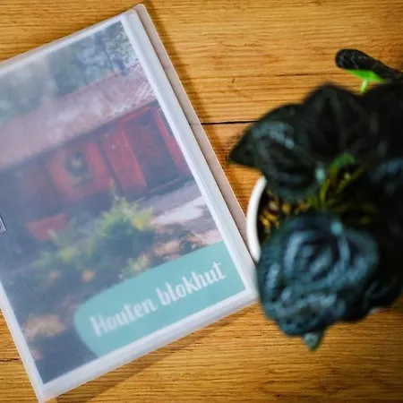 Huisdiervriendelijk Houten In Het * Epe