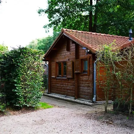 Huisdiervriendelijk Houten In Het Semesterbostad *