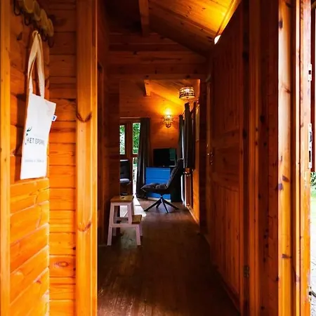Semesterbostad Huisdiervriendelijk Houten In Het Epe