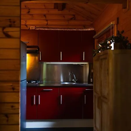 Huisdiervriendelijk Houten In Het *
