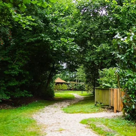 Huisdiervriendelijk Houten In Het Epe