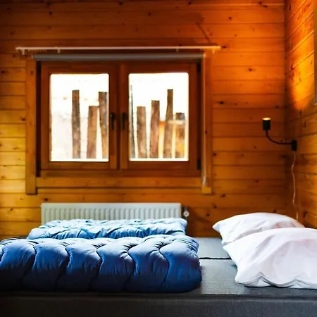 Huisdiervriendelijk Houten In Het