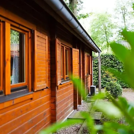 Semesterbostad Huisdiervriendelijk Houten In Het *