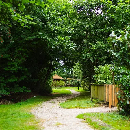 Huisdiervriendelijk Houten In Het Vakantiehuis Epe