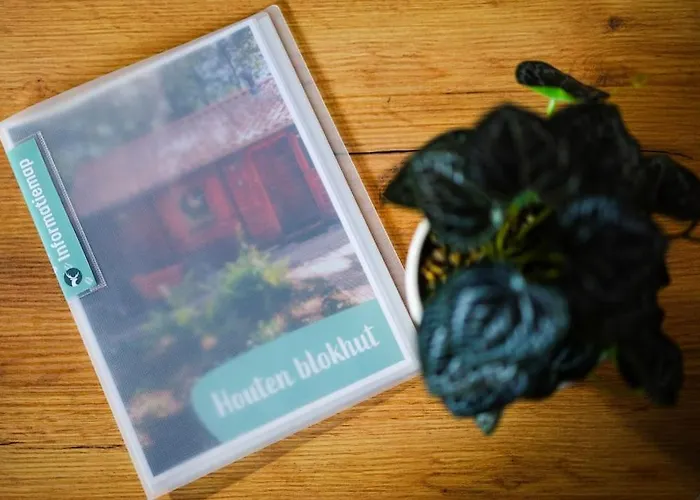 Huisdiervriendelijk Houten In Het * Epe