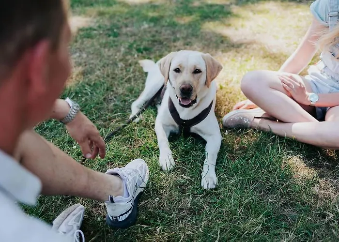 Сasa de vacaciones Huisdiervriendelijk Houten In Het Epe