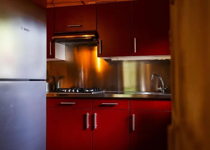 Huisdiervriendelijk Houten In Het *