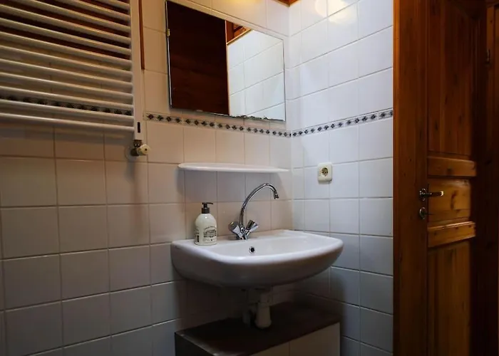 Huisdiervriendelijk Houten In Het * Epe