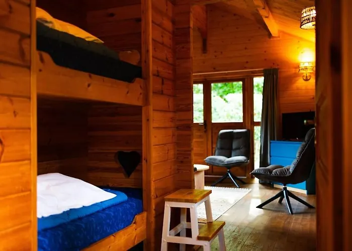 Huisdiervriendelijk Houten In Het