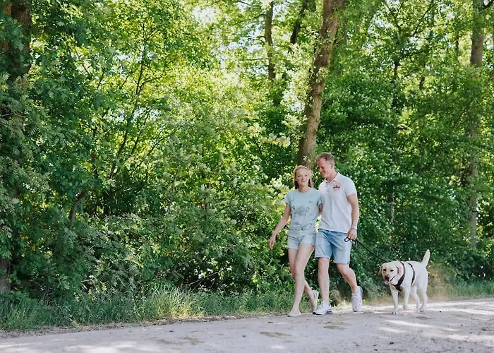 Huisdiervriendelijk Houten In Het Semesterbostad