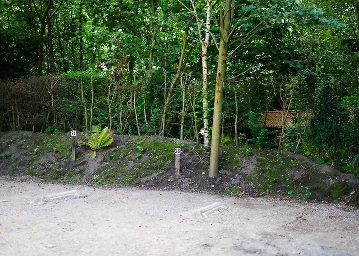 Huisdiervriendelijk Houten In Het Сasa de vacaciones Epe