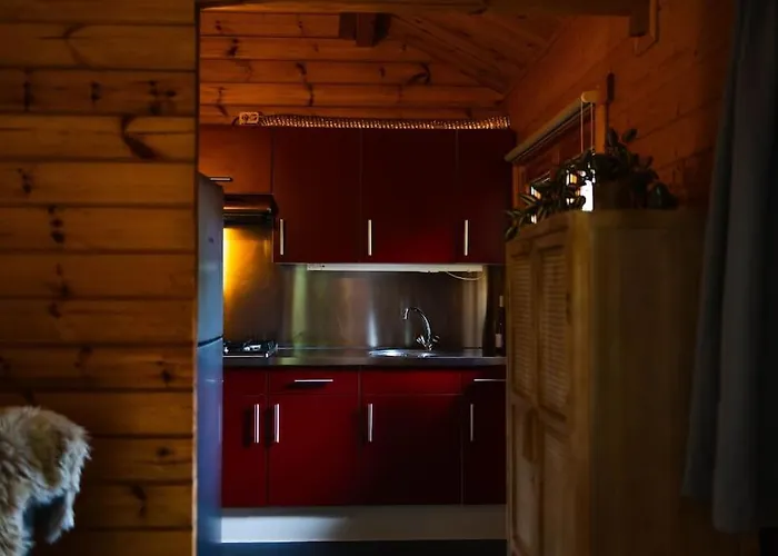 Huisdiervriendelijk Houten In Het *