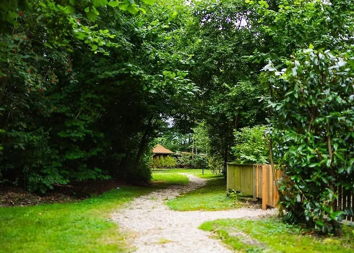 Huisdiervriendelijk Houten In Het Epe