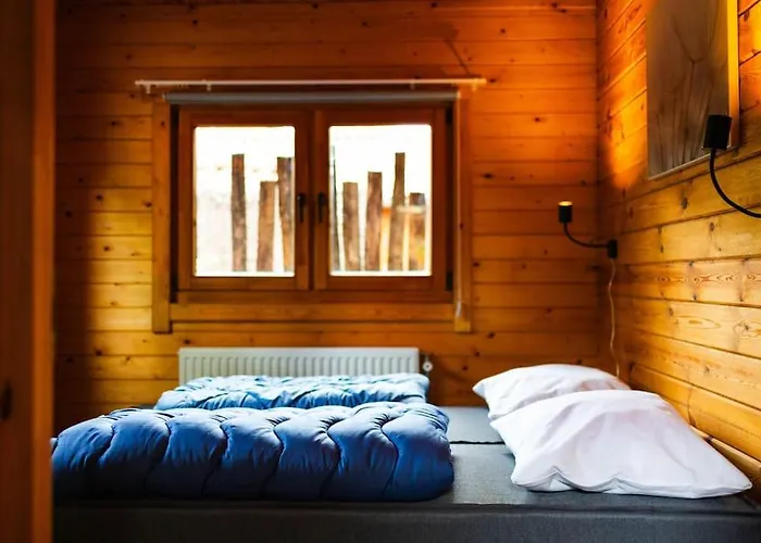 Huisdiervriendelijk Houten In Het