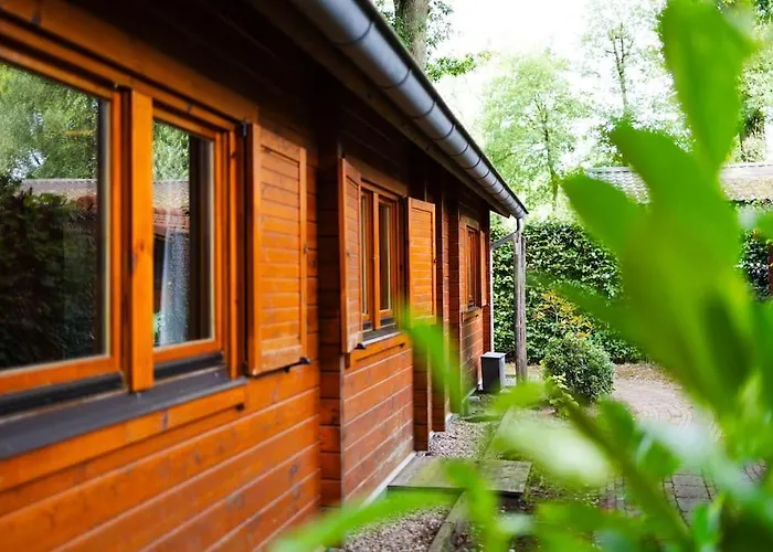 Semesterbostad Huisdiervriendelijk Houten In Het *