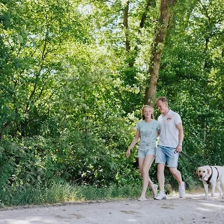 Huisdiervriendelijk Houten In Het Semesterbostad