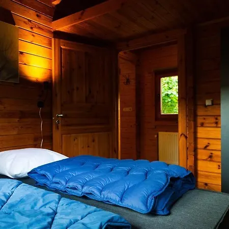Huisdiervriendelijk Houten In Het Semesterbostad Epe